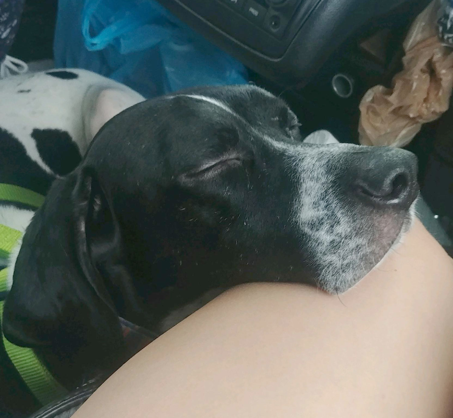 Jude